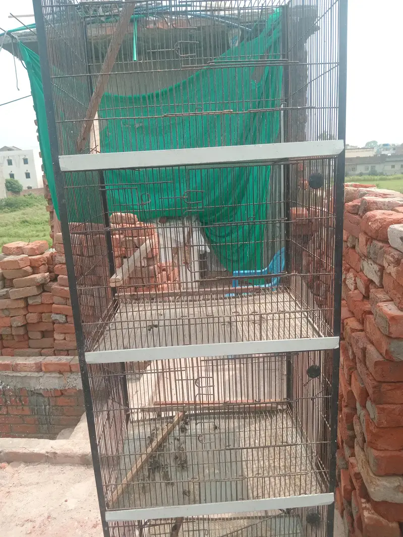 cage for sale — photo 3