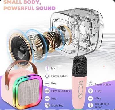 Portable LED Wireless Bluetooth Karaoke Speaker with Dual Microphones