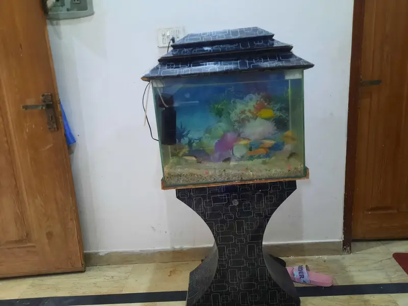 fish aquarium — photo 2