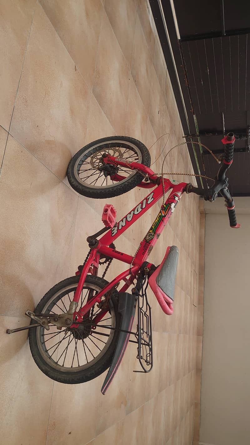 20 inch cycle 1