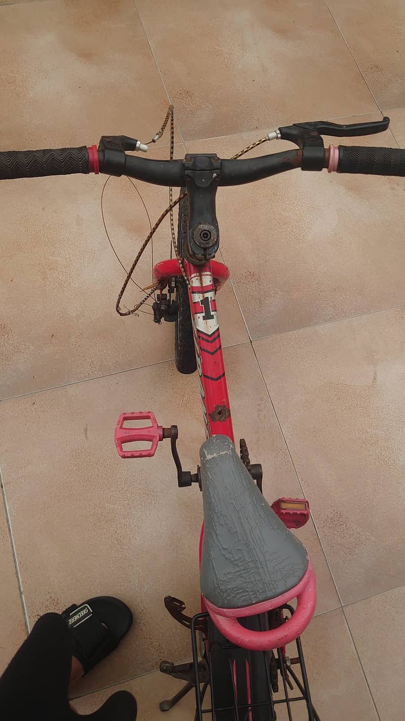 20 inch cycle 2