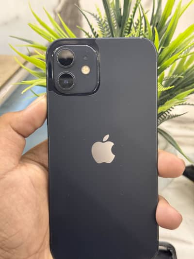 Apple iPhone 12