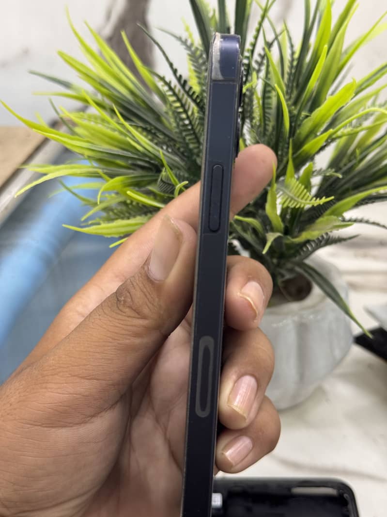 Apple iPhone 12 1
