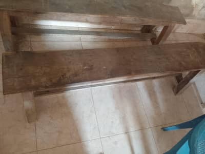 Benches of Students