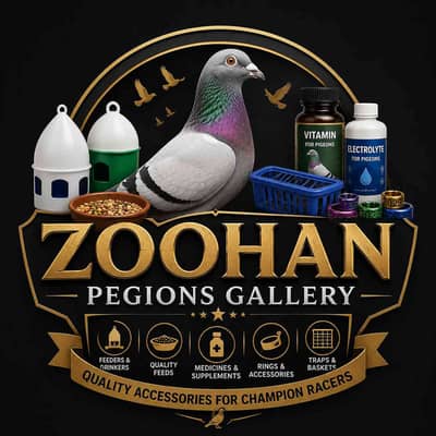 Zoohan Pegions Gallery 