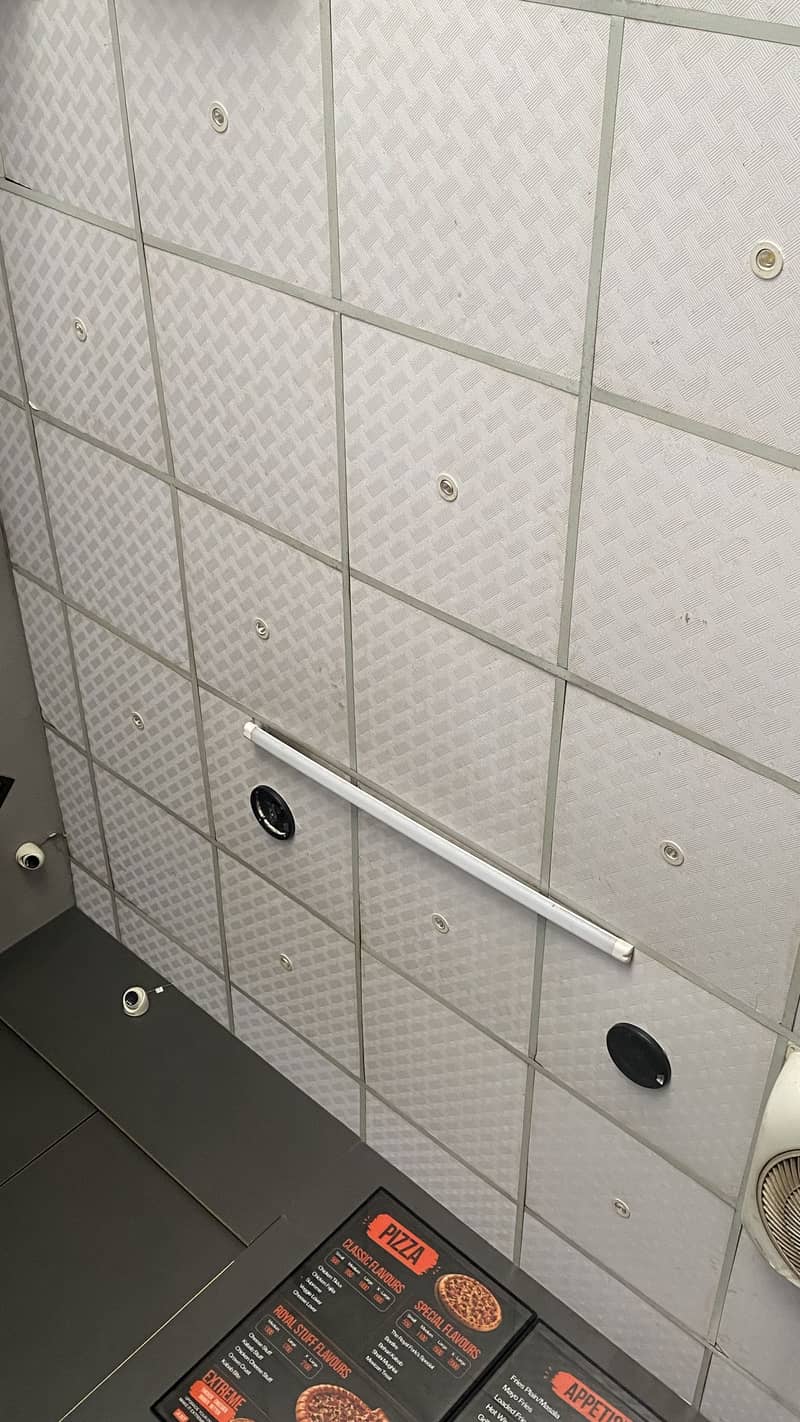 Ceiling 1