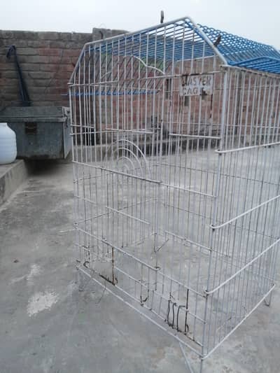 cage moti tar