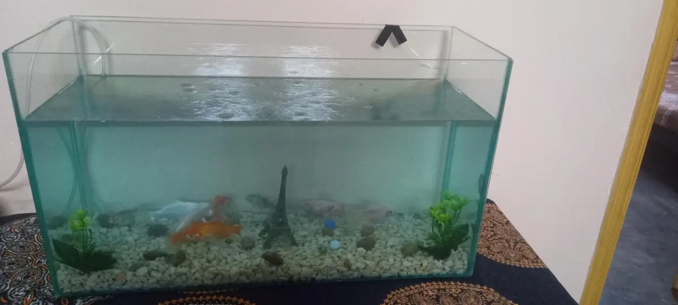 Aquarium full setup for sale — photo 7