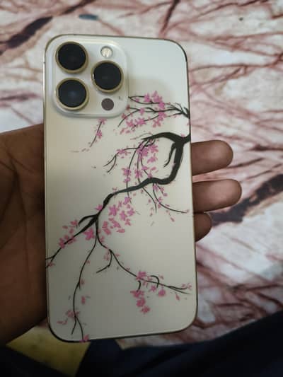 Apple iPhone 13 Pro