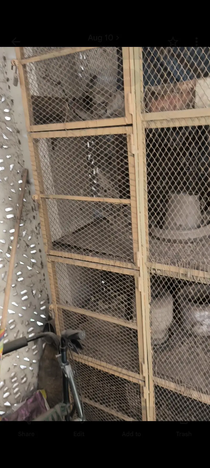 Hen Cage | Murgi Ka Penjara | Big Cage — photo 3