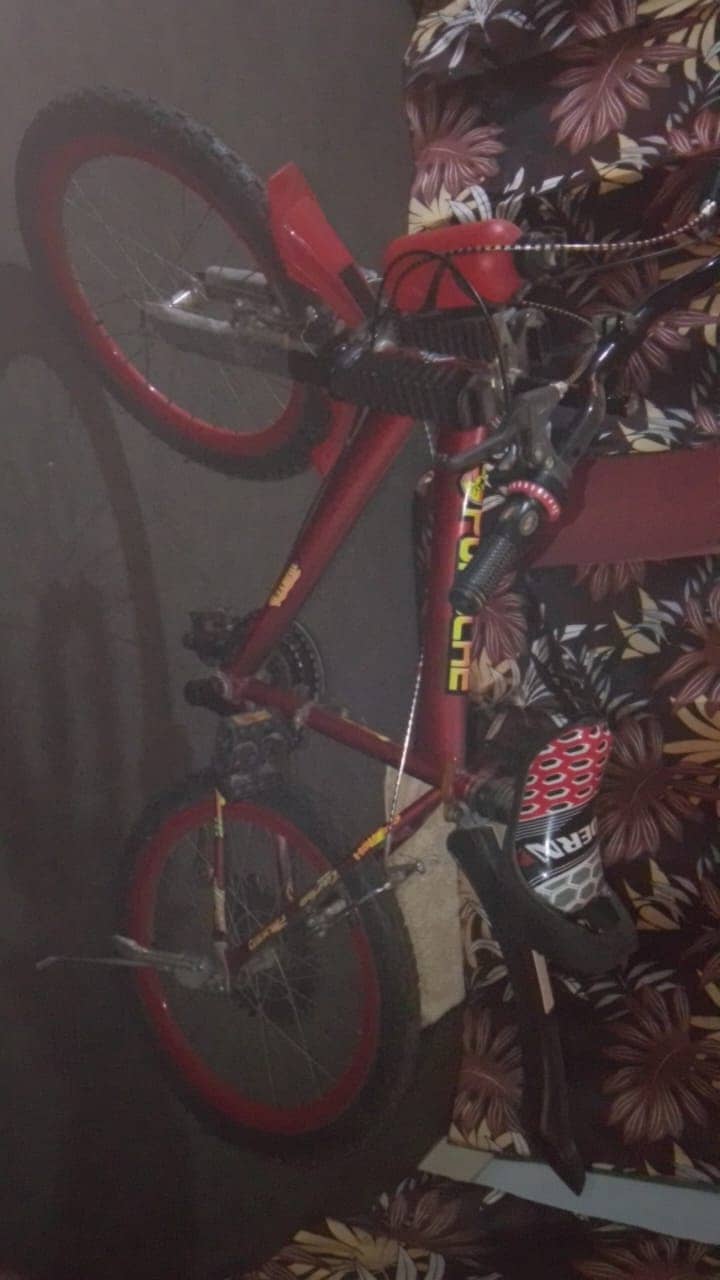 Likely New 1