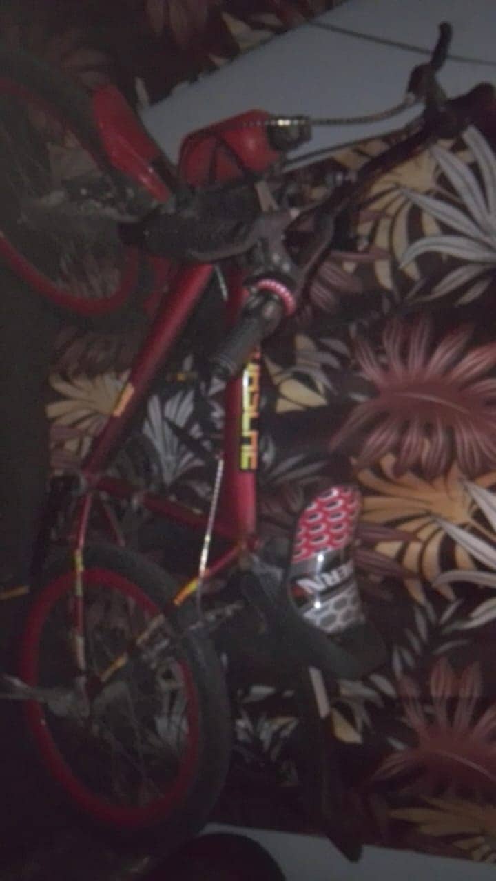 Likely New 2