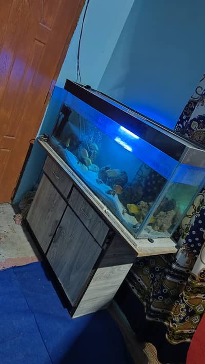 4 Fit Aquarium