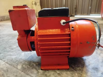 Manzoor Water pump