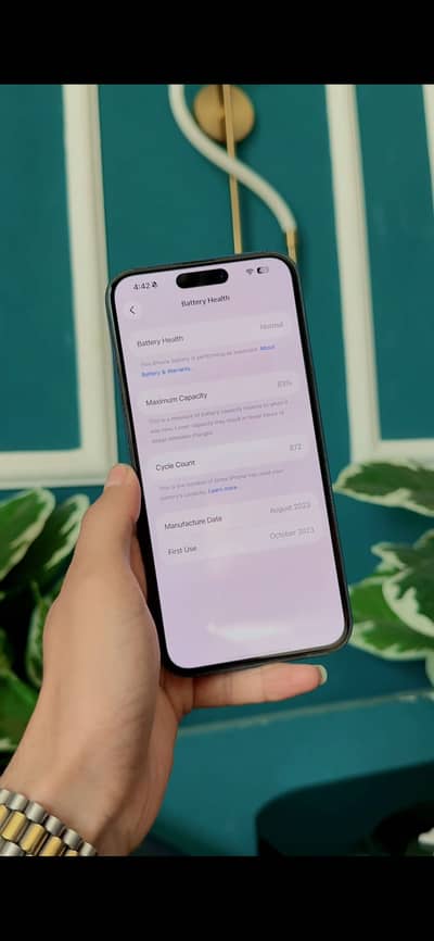 Apple iPhone 15 Pro Max