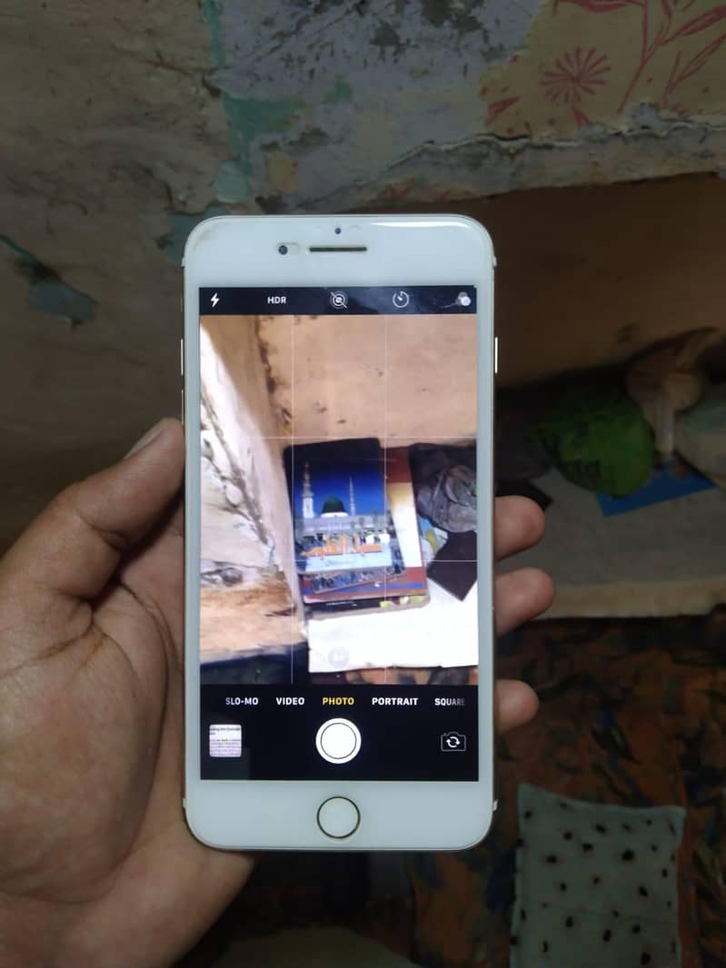Apple iPhone 7 Plus 2