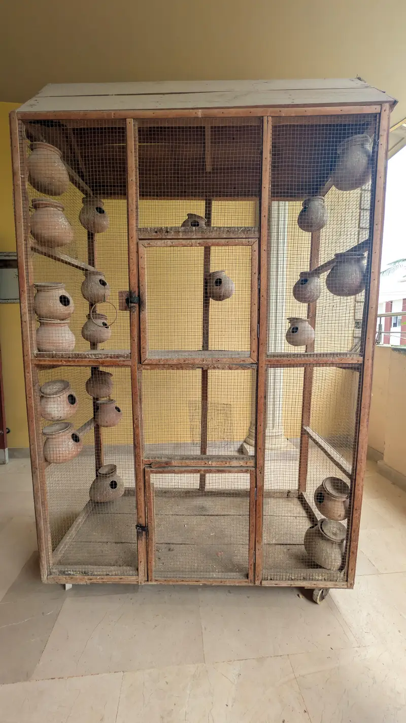 Wooden Bird Cage | Lakdi ka Pinjra for sale