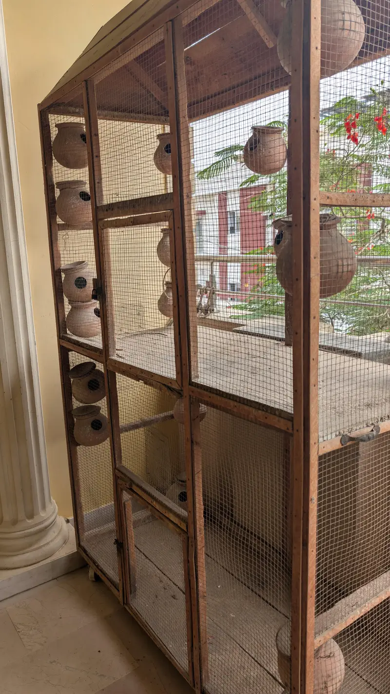 Wooden Bird Cage | Lakdi ka Pinjra for sale — photo 2