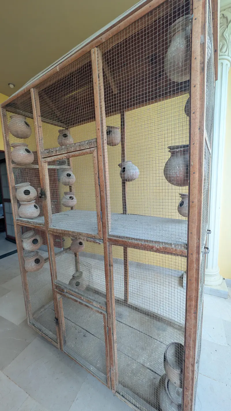 Wooden Bird Cage | Lakdi ka Pinjra for sale — photo 3