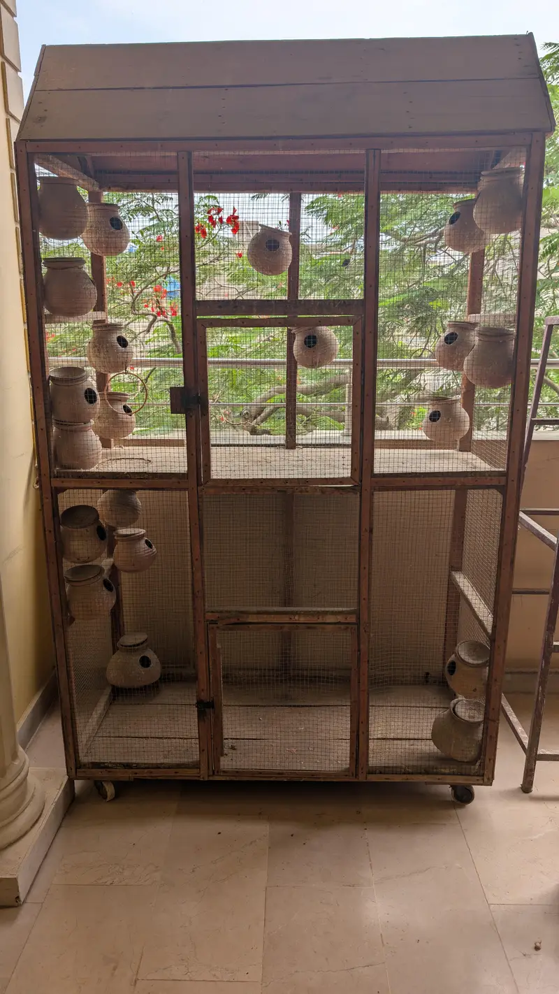 Wooden Bird Cage | Lakdi ka Pinjra for sale — photo 4