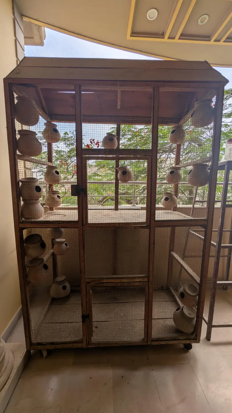 Wooden Bird Cage | Lakdi ka Pinjra for sale — photo 5