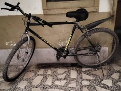 phoenix cycle for sale