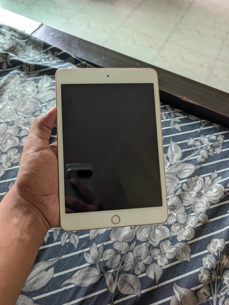 Ipad Mini (5th Generation) 1