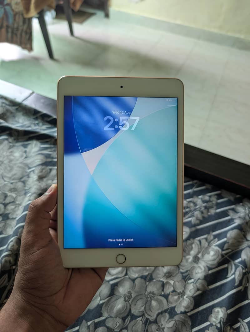 Ipad Mini (5th Generation) 2