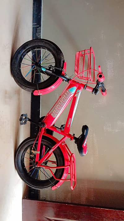 Kids Bicycle