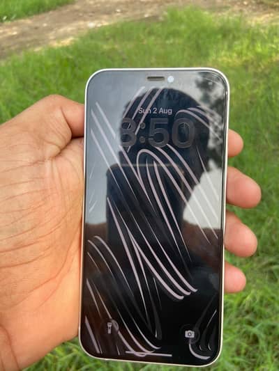 Apple iPhone 12