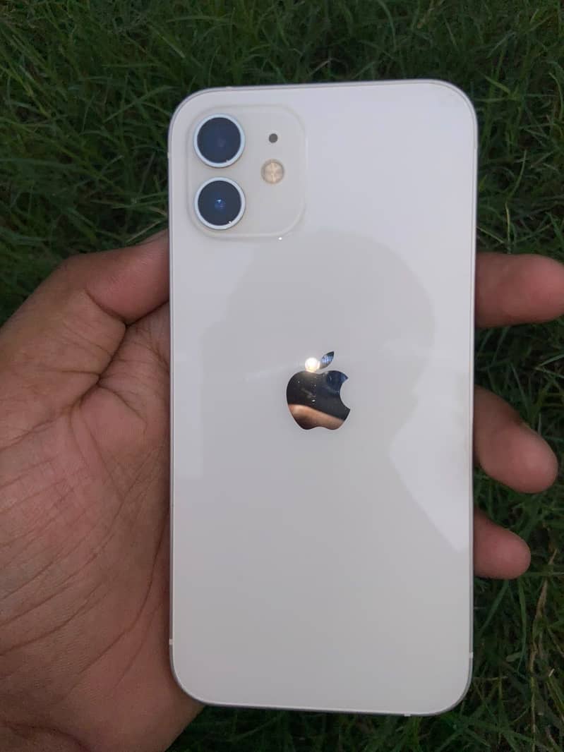 Apple iPhone 12 1