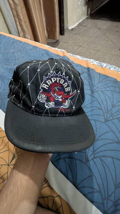 Toronto raptors