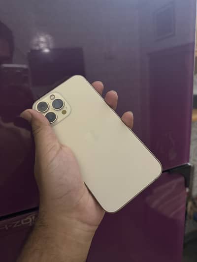 Apple iPhone 13 Pro Max
