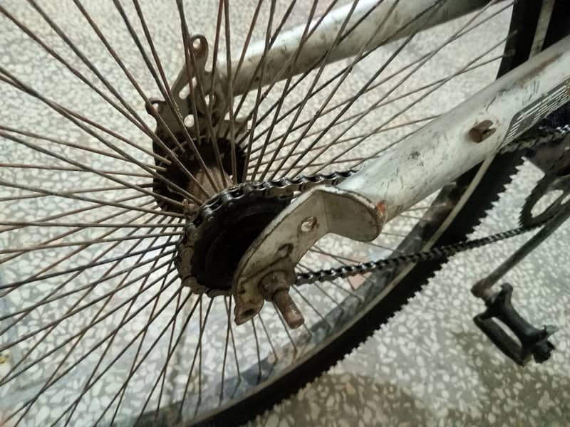 BICYCLE 5