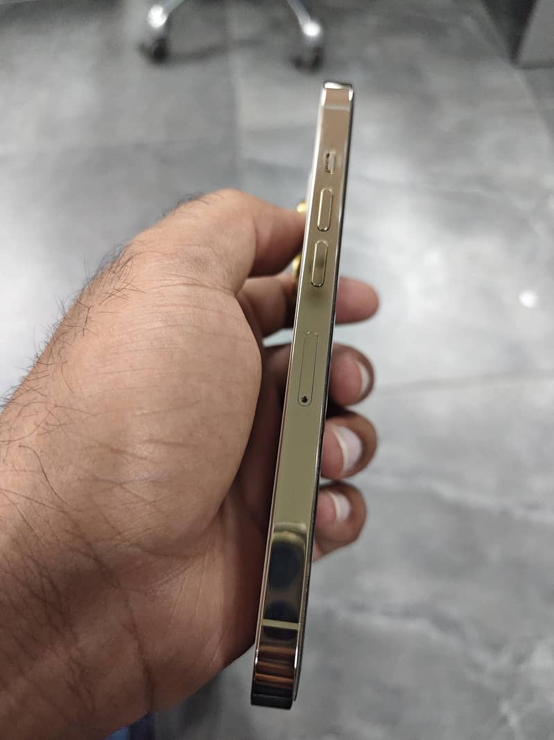 Apple iPhone 13 Pro 1