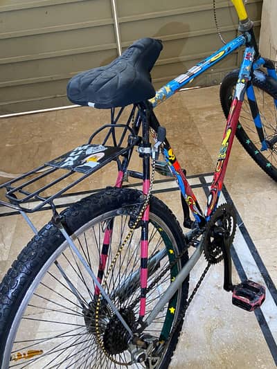 Bicycle in Best Conditions