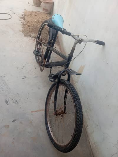 Cycle