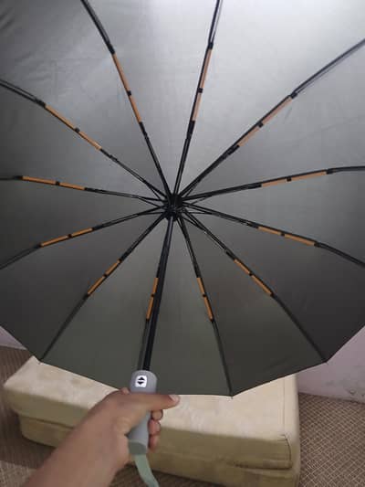 Improted Umbrella 