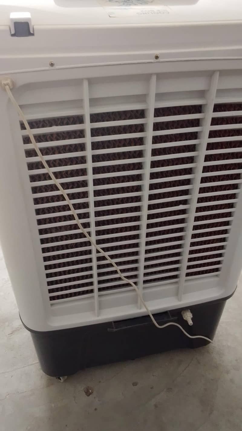 Cherry 4200 model number 4