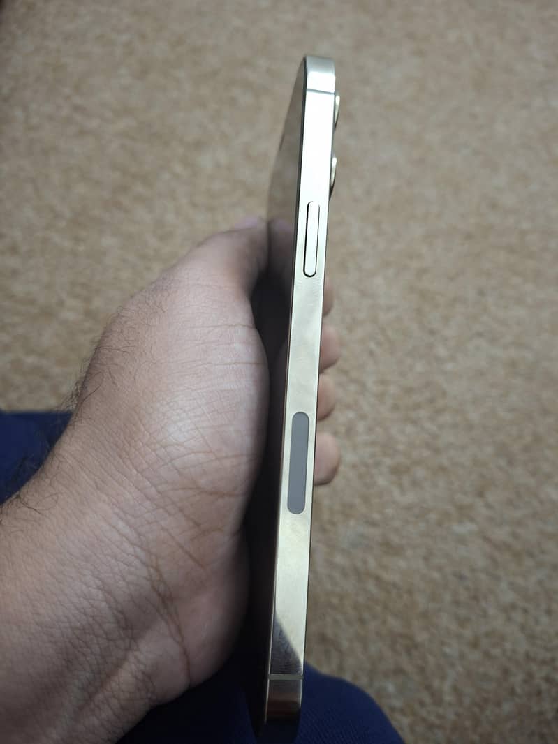 Apple iPhone 12 Pro Max 4