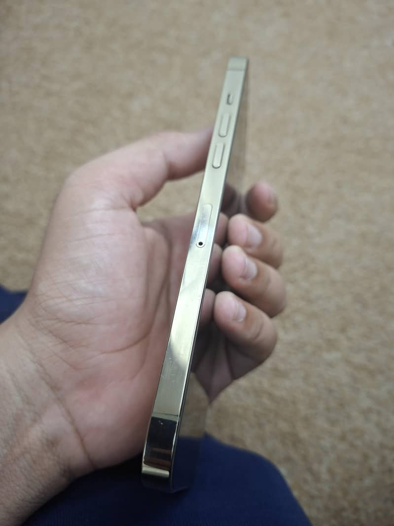 Apple iPhone 12 Pro Max 5