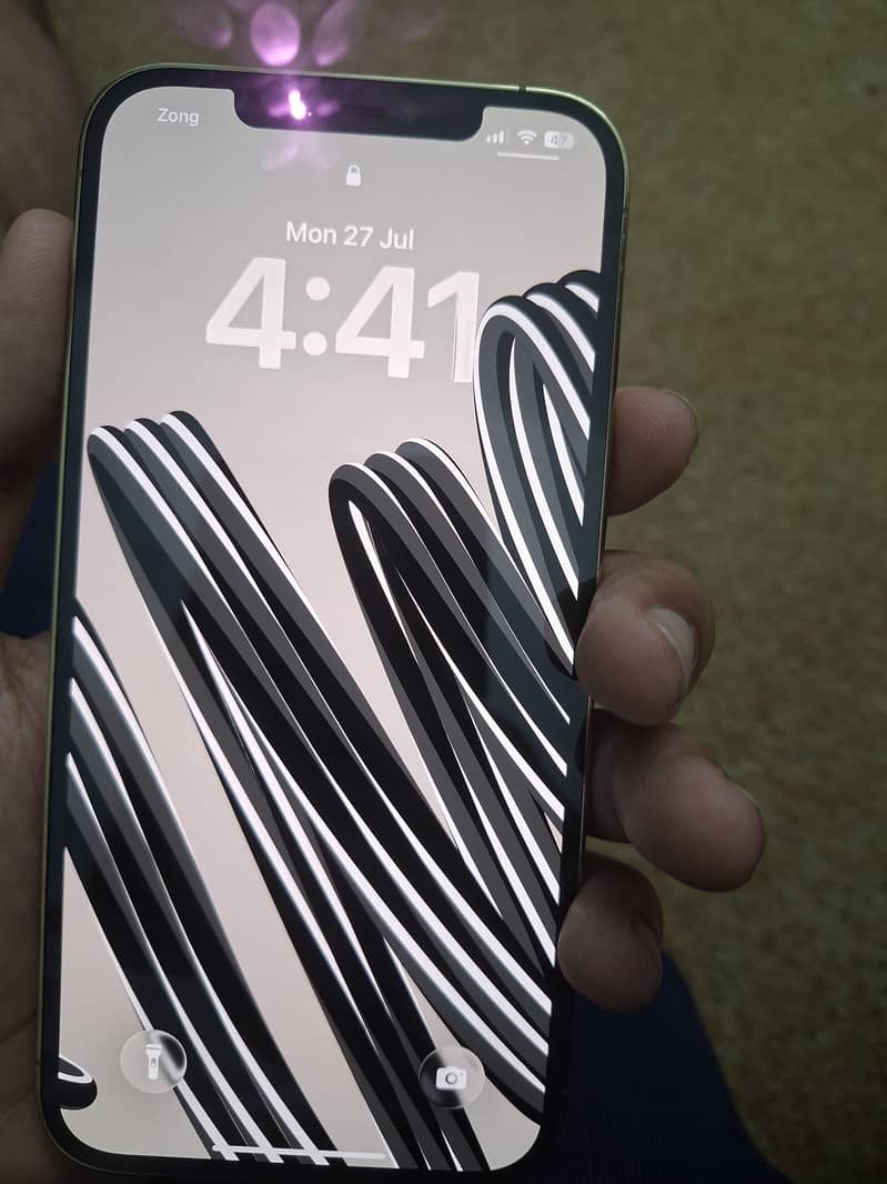 Apple iPhone 12 Pro Max 8