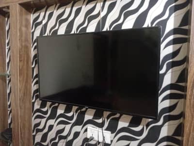40 inch LED without net hairer
