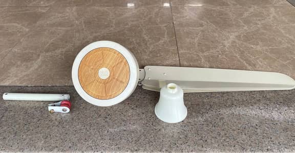 Two pak fan ceiling fans in exlllent condition