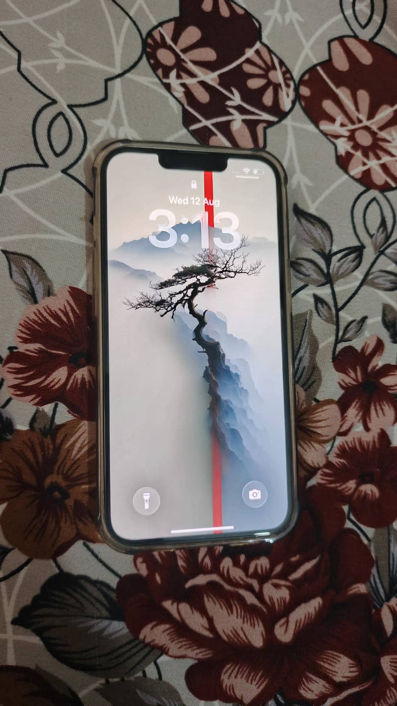 Apple iPhone 13 2