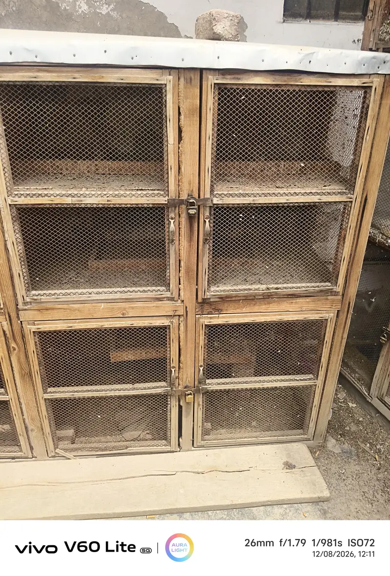 Pigeon Cage. Pinjara for breeding pigeon — photo 3