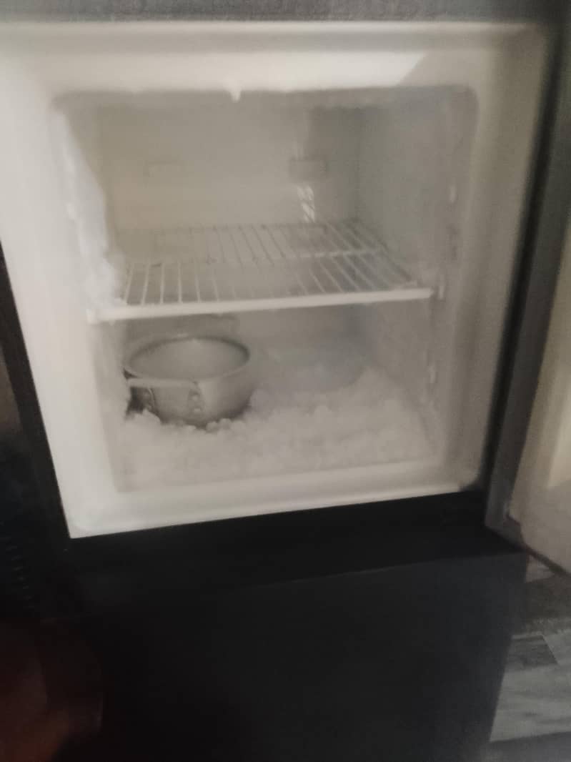 fridge 2