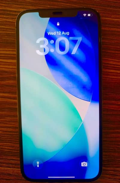 IPhone 12 Pro Max, Jv