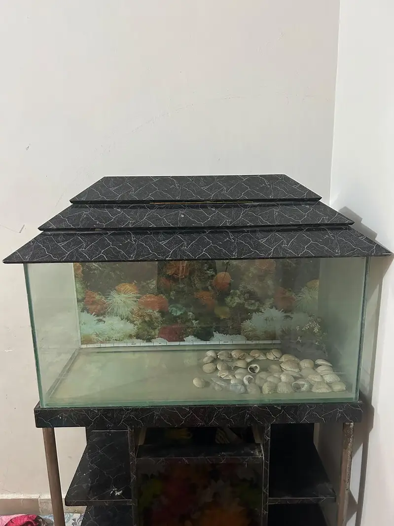 Urgent Aquarium for sale | Fish Tank — photo 2