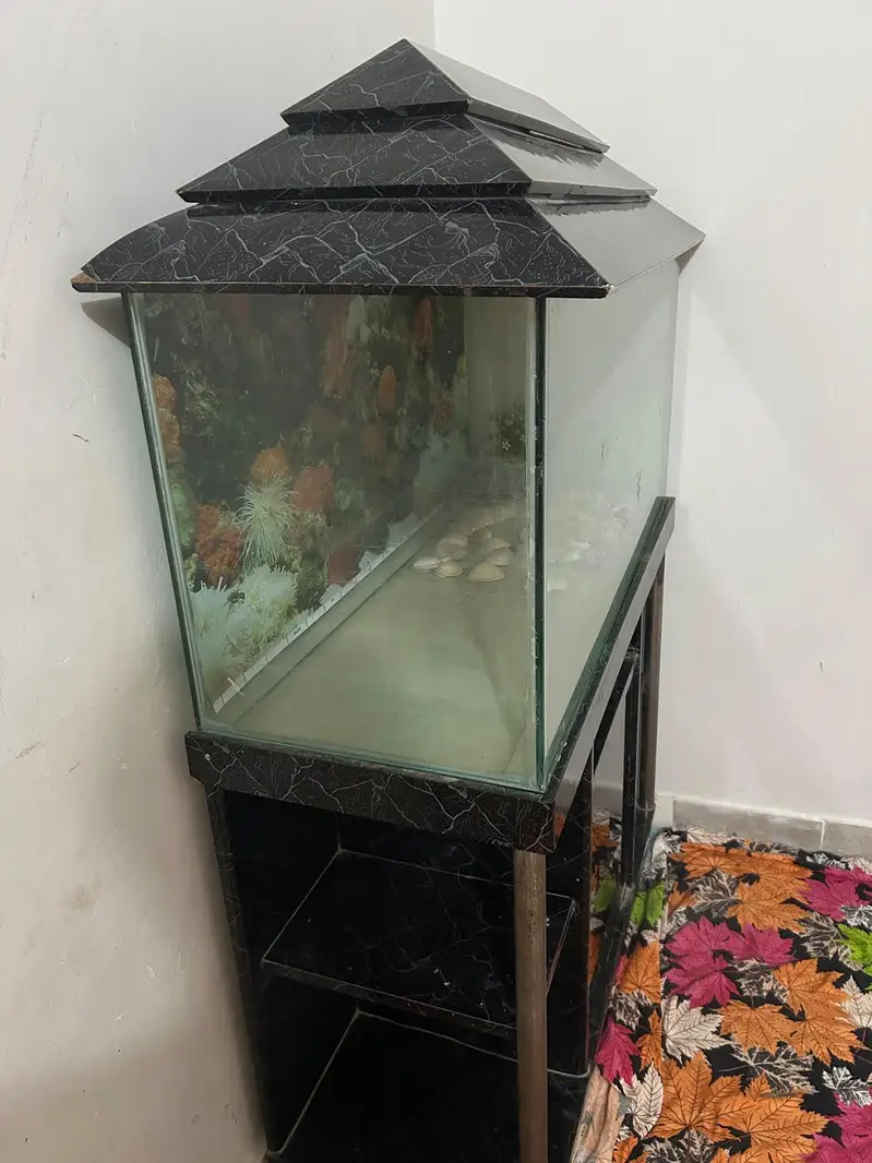 Urgent Aquarium for sale | Fish Tank — photo 3